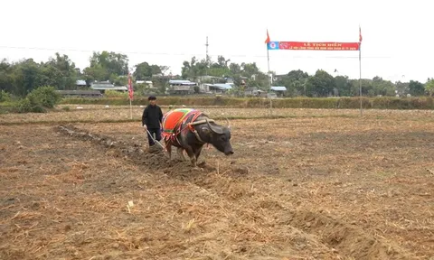 Lễ hội Lồng Tồng ATK Định Hóa – Gìn giữ mạch nguồn văn hóa giữa “Thủ đô gió ngàn”