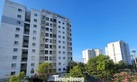 Người lao động chật vật vì giá thuê căn hộ ‘neo’ cao