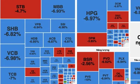 VN-Index giảm hơn 115 điểm, lập kỷ lục giảm sâu trong một phiên