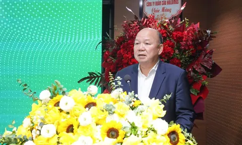 Sau 1 tuần ông Tô Dũng làm Chủ tịch, giá cổ phiếu Viwaseen tăng gấp đôi