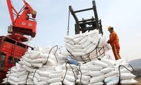 Không phải dầu mỏ, một mặt hàng khác đang thiếu hụt có nguy cơ làm rung chuyển ngành thực phẩm toàn cầu, Trung Quốc 'ngư ông đắc lợi'