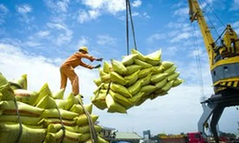 Xuất khẩu gạo của Việt Nam sang Senegal tăng gần 30 lần