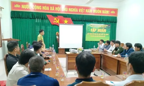 Ban Quản lý rừng phòng hộ Đà Nẵng tăng cường công tác tuyên tuyền trong năm 2026