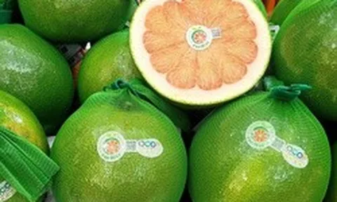 Thêm 2 loại trái cây phổ biến của Việt Nam được xuất chính ngạch sang Trung Quốc