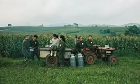 Doanh thu thuần Mộc Châu Milk đạt 741,6 tỷ đồng trong Quý I, kỳ vọng tăng trưởng năm 2026