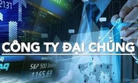 Loạt doanh nghiệp vừa bị hủy tư cách công ty đại chúng