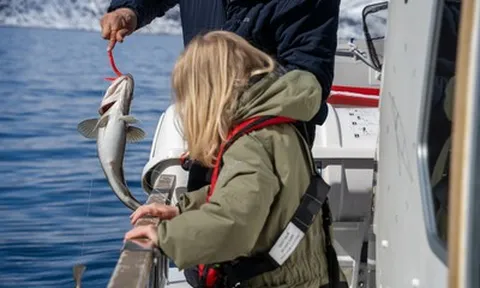 Xu hướng lựa chọn DHA cho trẻ nhỏ: Không chỉ là hàm lượng, mà là chất lượng toàn diện