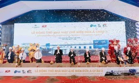 Hơn 50% diện tích dừa cả nước tập trung tại đây: Lộ diện nhà máy 60.000 m2 tham vọng "đánh chiếm" kệ hàng Mỹ