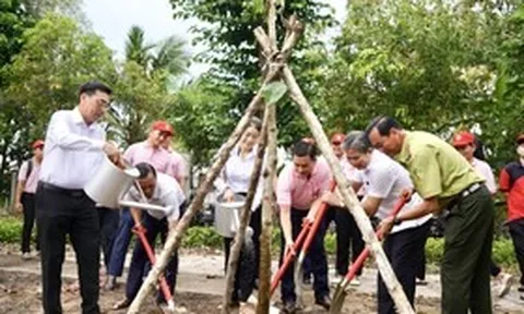 C.P. Việt Nam chung sức phát triển mảng xanh, nâng cao chất lượng sống cho cộng đồng