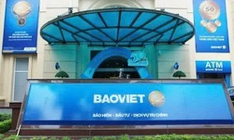 Doanh nghiệp bảo hiểm lớn nhất Việt Nam sắp họp cổ đông bàn kế hoạch kinh doanh và phân phối lợi nhuận