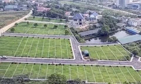 Hà Nội: Giá đất nền vùng ven có nơi giảm cả tỷ đồng/lô