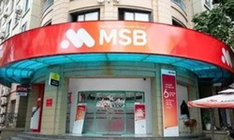 ROX Living mua vào hơn 18% lượng cổ phiếu MSB đã đăng ký
