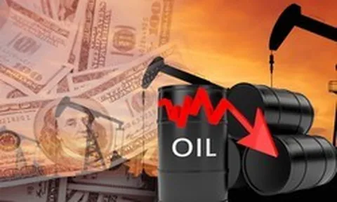 Mỹ, Iran báo tin không thể vui hơn cho toàn thế giới