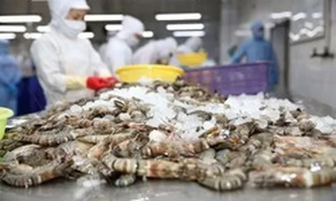 Công ty thủy sản đầu tiên mở màn kết quả quý II: Doanh số 6 tháng giảm gần 21%