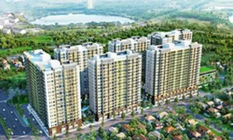 Hưng Thịnh Incons dự kiến phát hành cổ phiếu thưởng tỷ lệ 50%