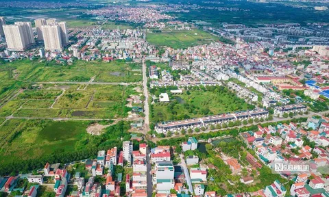 Đề xuất chế tài mạnh với người trúng đấu giá đất nhưng bỏ cọc