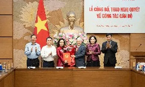 Vụ trưởng Vụ Tín dụng NHNN được bổ nhiệm làm Trợ lý Phó Chủ tịch Quốc hội Nguyễn Thị Hồng