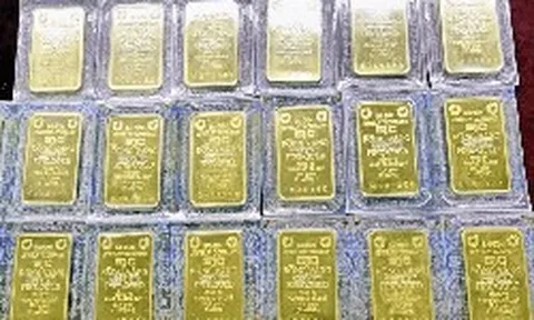 Giá vàng miếng, vàng nhẫn chiều tối 1/8 tại SJC, PNJ, DOJI, Bảo Tín Minh Châu và Bảo Tín Mạnh Hải
