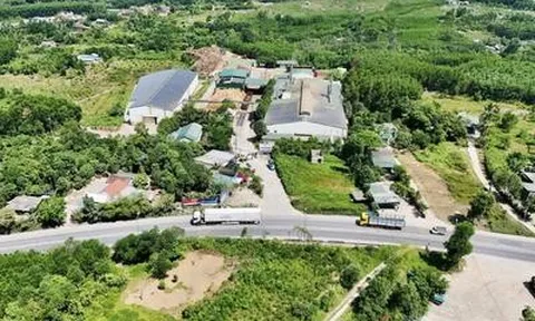 Vì sao dự án được kỳ vọng nâng tầm đặc sản Huế kết thúc dang dở?
