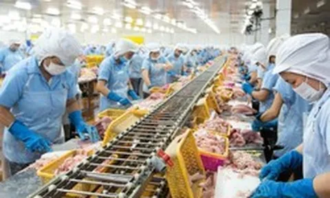 Con trai 'vua cá rô phi' lần thứ 3 mua thêm 1 triệu cổ phiếu ANV khi thị giá giảm gần 40% từ đầu năm