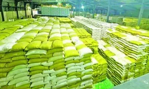 Gạo Việt Nam, Thái Lan bất ngờ bị một đối thủ mới vượt mặt tại Philippines, mới xuất hiện đã được trả giá cao kỷ lục