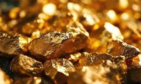 Công ty đào vàng lớn nhất thế giới từng săn “kho vàng” 6,6 triệu ounce ở Lai Châu: Một mẫu đá chứa hàm lượng cao bất ngờ