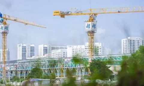 Xây dựng Hòa Bình phân phối hơn 51 triệu cổ phiếu cho 99 chủ nợ