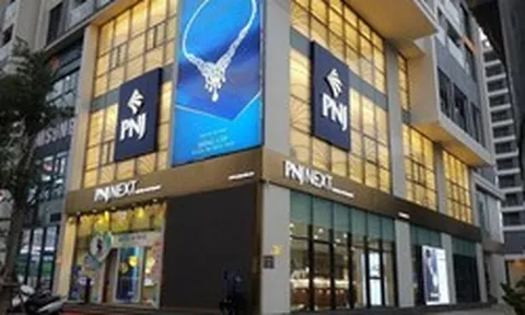 Sau biến cố kim cương, PNJ tái cấu trúc bộ máy: Một đầu mối tồn tại 3 năm sẽ biến mất, thành viên HĐQT nhận vai trò mới