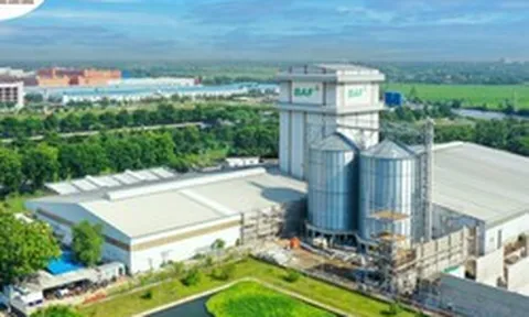 Baf Việt Nam thâu tóm một doanh nghiệp chăn nuôi tại Gia Lai