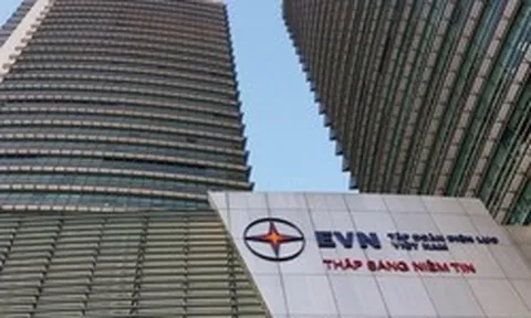 Tái cấu trúc Tập đoàn Điện lực Việt Nam (EVN)
