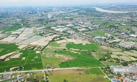 Bộ Tài chính lý giải đề xuất đánh thuế đất bỏ hoang gấp 7 lần đất ở