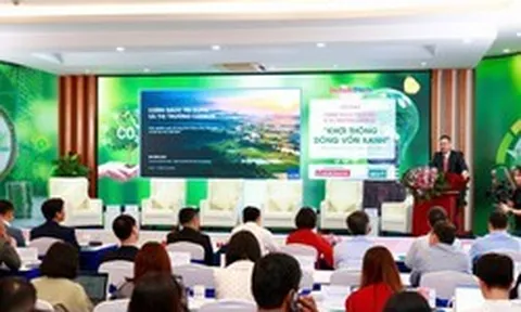 Thị trường carbon Việt Nam: Có sàn giao dịch, làm sao biến giảm phát thải thành dòng tiền cho doanh nghiệp?