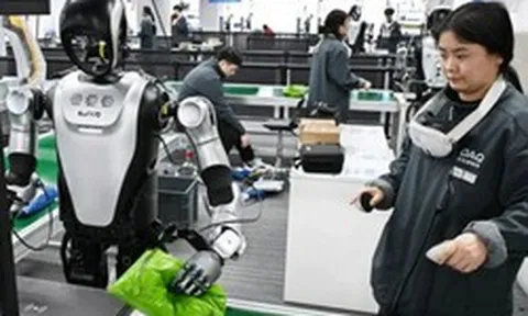 Nghề huấn luyện robot tại Trung Quốc: Rửa bát 200 lần/ngày kiếm 25 triệu, ngậm ngùi "dạy việc" cho sẽ kẻ cướp chén cơm của mình