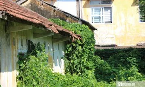 Hiện trạng khu nhà đất công gần 6.000m² ở Huế vừa đổi chủ quản sau thời gian dài xuống cấp