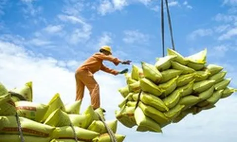 Việt Nam gia tăng lượng xuất khẩu gạo sang Singapore