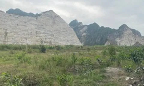 Ecogreen được thuê đất đợt 1 làm nhà máy xử lý chất thải Kinh Môn