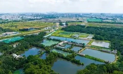 TPHCM xem xét đưa 147 khu đất thí điểm làm nhà ở thương mại