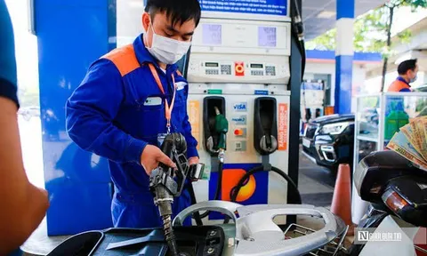 Giá xăng dầu hôm nay (29/10), đồng loạt bật tăng