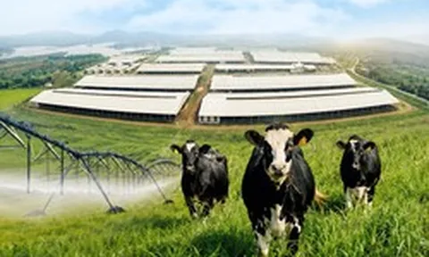 11 sản phẩm TH đạt trung hòa carbon, bước tiến nối dài trên hành trình Net Zero
