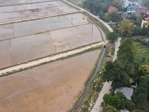 Mới nhất về xử phạt hành vi tự ý "biến" đất trồng lúa thành đất ở, người dân sẽ bị phạt tới 400 triệu đồng