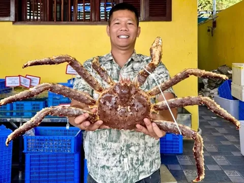 Từ chàng trai phụ hồ đến ông chủ chuỗi cửa hàng hải sản ở Hà Nội: Khởi nghiệp từ ước mơ chữa bệnh cho bố