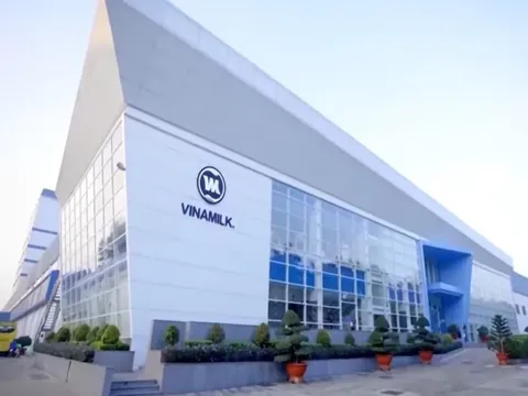 Thị trường nước ngoài lần đầu tiên đóng góp trên 20% tổng doanh thu của Vinamilk