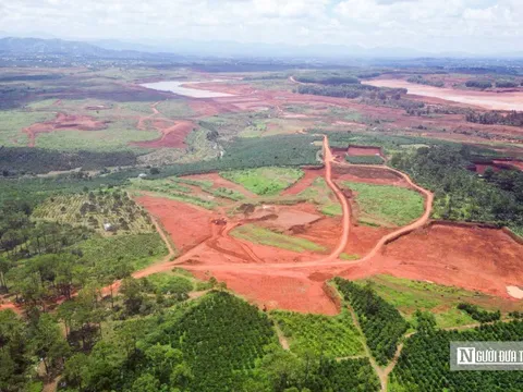 Lâm Đồng: Chấm dứt hoạt động dự án, thu hồi hơn 145ha đất rừng