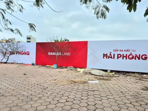 Hải Phòng chuyển 10.000 m2 đất trồng lúa sang phi nông nghiệp để xây công trình thương mại, giao cho doanh nghiệp nội liên quan Gamuda Land