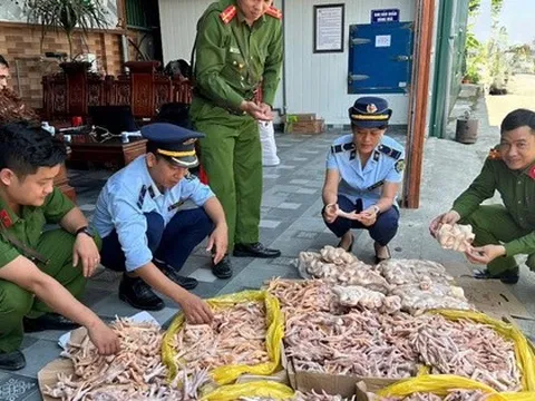 Kiểm tra đột xuất công ty thực phẩm sạch, phát hiện 500 kg chân gà, đuôi lợn không rõ nguồn gốc