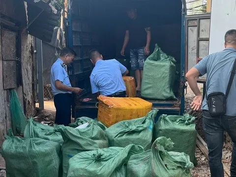 Hà Nội: Phát hiện gần 1 tấn trứng gà non, tràng gà không rõ nguồn gốc