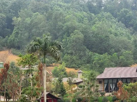 Chủ tịch Hà Nội yêu cầu khẩn trương xử lý vụ lấn chiếm đất rừng xây khu nghỉ dưỡng tại Thạch Thất