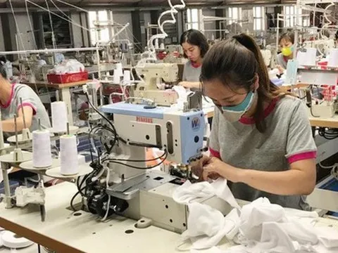 May Sông Hồng sắp phát hành 37,5 triệu cổ phiếu thưởng cho cổ đông