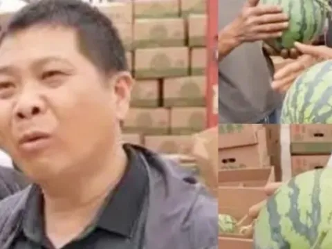 Nghề lạ “chụp X-quang” cho trái cây, kiếm hàng chục triệu/tháng