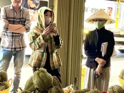 Chuyên gia 'vạch trần' cách cadimi âm thầm 'đầu độc' ngành sầu riêng